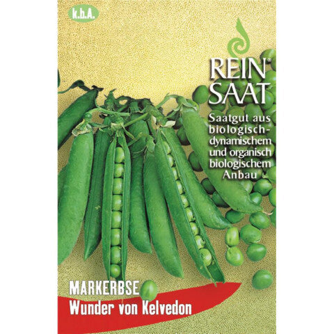 REINSAAT Markerbse Wunder von Kelvedon - 1 Beutel 